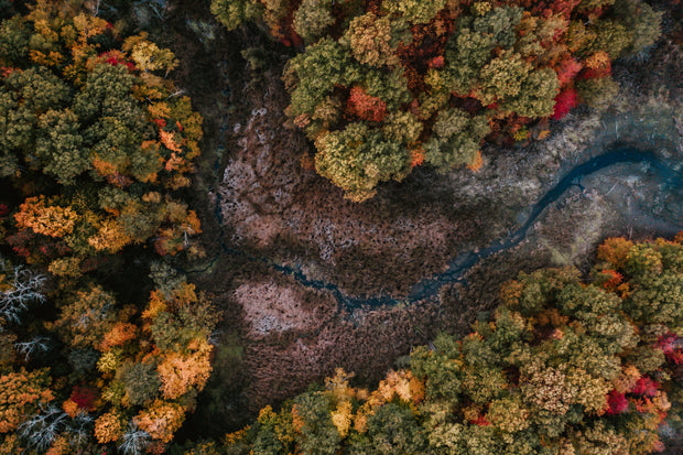 <h2>For the Planet</h2>